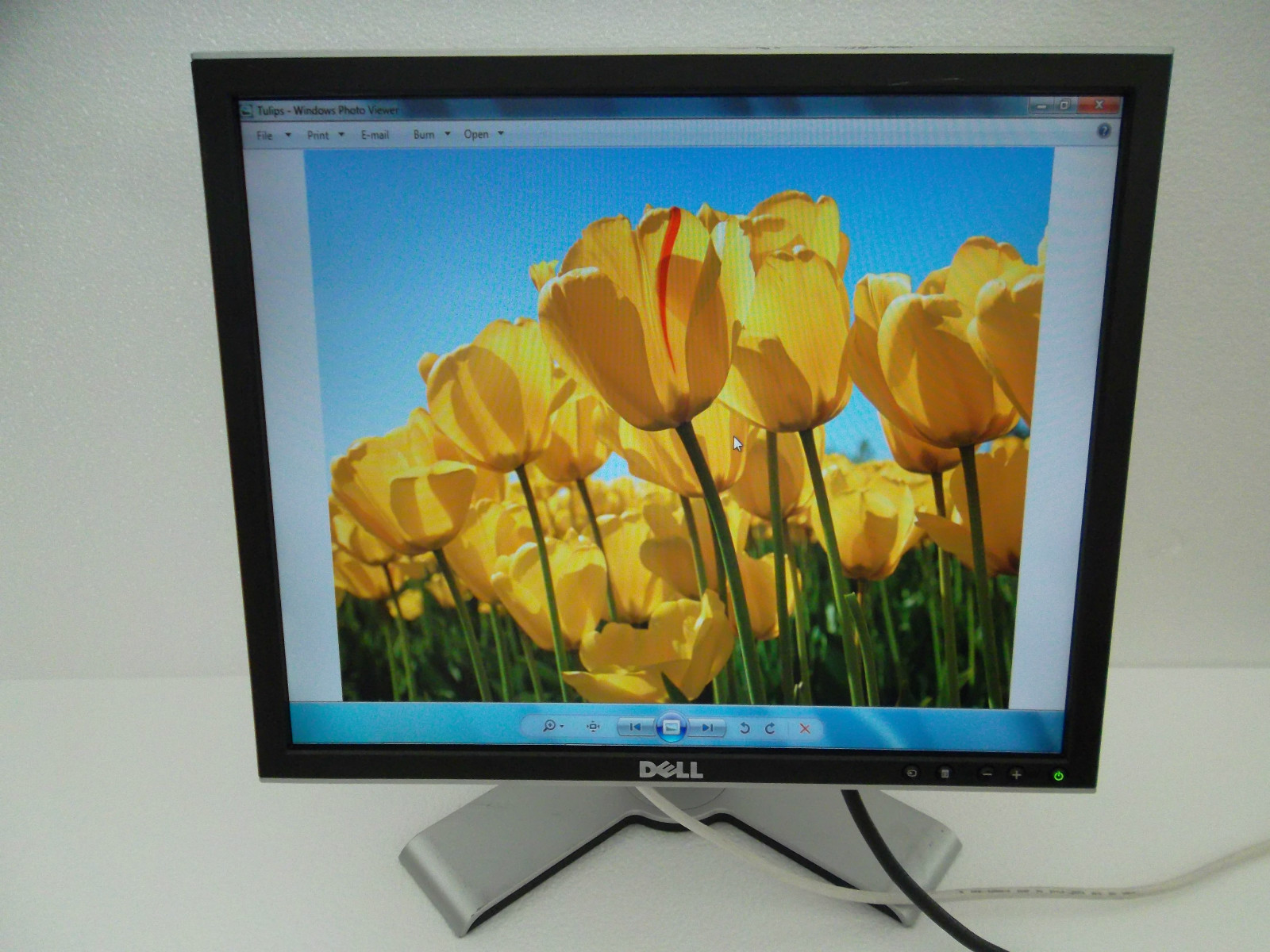 Dell 1907FP 1908FP 19" UltraSharp LCD Monitor w/4-Port USB Hub DVI VGA UW042