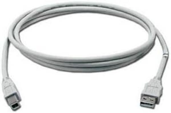 QVS 6-foot USB 2.0 Connecting Cable - Type A Male to B Male - Beige (CC2209-06)