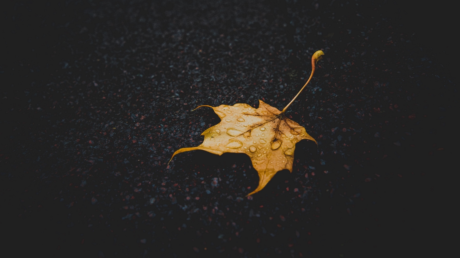 Landscape macro fallen leaves water drops fall yellow Custom Gaming Mat Desk