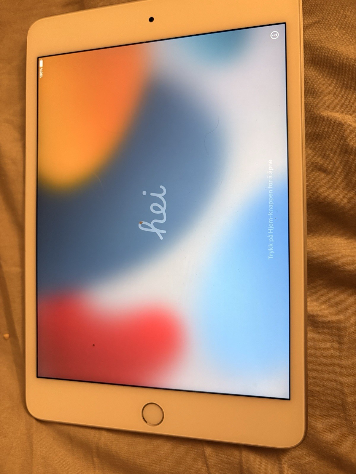 Apple iPad Mini 5th Gen A2133 Wi-Fi Silver – Working & Factory Reset