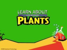 Learn About Life Science: Plants PC MAC CD teach seeds trees match exercises etc picture