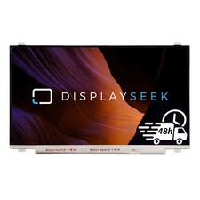 MSI GT72S 6QE-081FR LCD Display Screen Screen 17.3