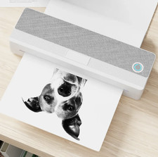 Peripage P81 Portable Wireless Printer, Style# ALD-P810, Color Gray picture
