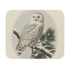 Snowy Owl Mouse Pad bird watcher avian desk office nature bird of prey winter picture