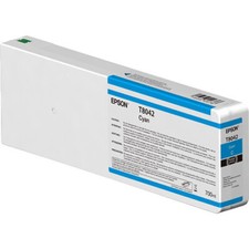 Epson T804700 UltraChrome HD Light Black Ink Cartridge (700ml) picture