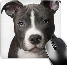 LLC 8 X 8 X 0.25 Inches Mouse Pad, American Pit Bull Terrier Puppy (Mp_4240_1) picture