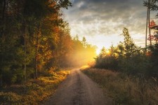 Landscape fall outdoors sunlight dirt road Custom Gaming Mat Desk picture