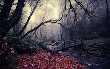 Landscape nature leaves bridge trees river fallen fall Custom Gaming Mat Desk picture
