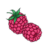 Raspberry picture