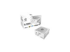 ASRock SL-850GW Gold 850W Full Modular Power Supply picture