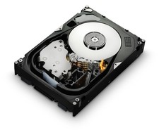 HUS156030VLS600- Hitachi/IBM/NETAPP/HP Dual Label-300GB 3.5