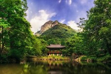 Landscape nature mountains trees forest house lake south Custom Gaming Mat Desk picture