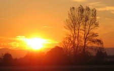 Landscape sunset trees nature sun sunlight outdoors sky Custom Gaming Mat Desk picture