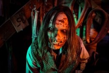 Haunted House Halloween Business Plan picture