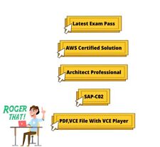 SAP-C02 Exam AWS Certified Solutions Architect Professional VCE,PDF 318Questions picture