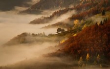 Landscape mist nature morning fall mountains forest Custom Gaming Mat Desk picture