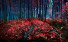 Landscape forest red grass leaves trees path plants Custom Gaming Mat Desk picture