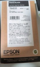 Epson C13T603100 (T603100) Photo Black Stylus Ink Cartridge,Ex 2023 picture