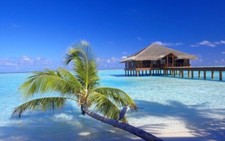Landscape maldives resort beach palm trees sand birds Custom Gaming Mat Desk picture