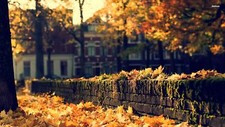 Landscape fall depth of field leaves bricks house trees Custom Gaming Mat Desk picture