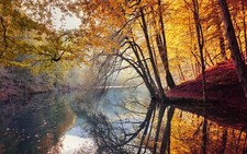 Landscape nature fall trees yellow red leaves mist river Custom Gaming Mat Desk picture