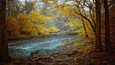 Landscape river nature fall Custom Gaming Mat Desk picture