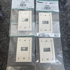 PANDUIT CFPE2IWY Wall Plate,Single Gang,2 Ports,Off White (QTY 4) picture