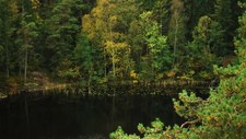 Landscape pond nature trees water river forest Custom Gaming Mat Desk picture