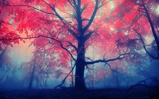 Landscape trees forest fall mist leaves Custom Gaming Mat Desk picture
