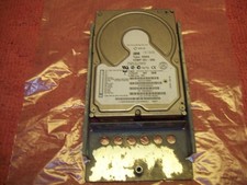 IBM DGHS COMP IEC-950 Hard Disk Drive HDD (09Y) Silver for Desktop PC / Server picture