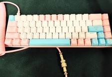 ZIYOU LANG T8 Mechanical Keyboard and Coiled USB C Cable W/ RGB LED Backlit NOB picture