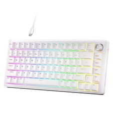 DK81E 75% Mechanical Gaming Keyboard HotSwappable RGB Backlit Wired White picture