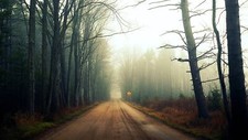 Landscape road trees forest nature dirt mist Custom Gaming Mat Desk picture