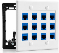 12 Port Ethernet Wall Plate, Cat 6, Wall Outlet, RJ45 Female to Female Keystone picture