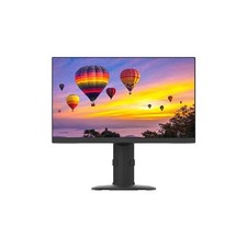 Planar PZN2410 Full HD Thin Profile 24