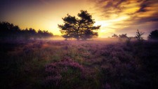 Landscape nature field flowers clouds sunlight trees Custom Gaming Mat Desk picture
