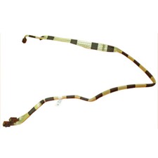 1PC for DELL R920 r930 KN3YV 0KN3YV 2.5 inch 24-disc Backplane SAS Flex Cable picture