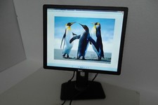 Dell P1913S LED Monitor 19