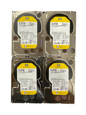 Lot Of 4x Western Digital WD3000FYYZ 3.5