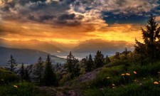 Landscape path trees r sunlight clouds nature flowers Custom Gaming Mat Desk picture