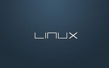 linux mint usb portable instalable operator system picture