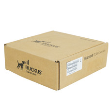 Ruckus R350 picture
