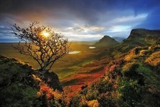 Landscape nature skye scotland dead trees shrubs valley Custom Gaming Mat Desk picture
