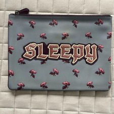 Coach x Disney - Blue Floral 'Sleepy' Pouch picture