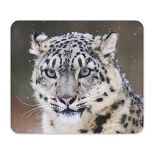 CafePress Snow Leopard Non-slip Rubber Mousepad, Gaming Mouse Pad (1069838020) picture