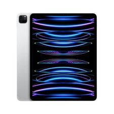 Apple iPad Pro 12.9 (6th Gen) (A2764) Unlocked 128GB Silver - Good picture