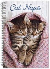 Cat Naps 2027 Weekly Monthly Planner 6 x9 16 Month Calendar CW6198 Adorable Cats picture