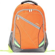 Bipra 15.6 inch Laptop Bag Backpack Suitable For 15.6 Inch Laptops (Orange) picture