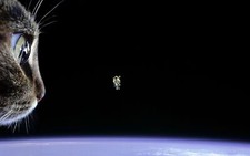 Landscape cats space astronaut Custom Gaming Mat Desk picture