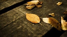 Landscape fall leaves wooden surface Custom Gaming Mat Desk picture